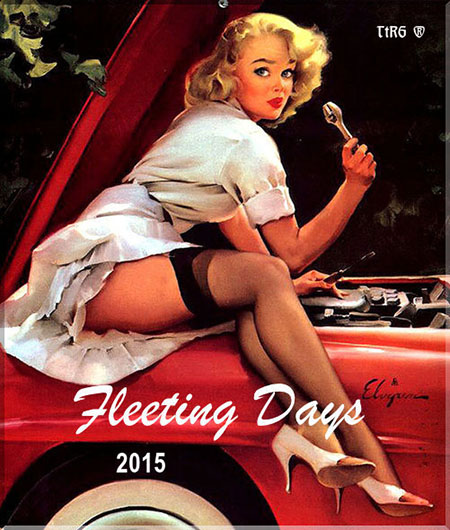 VA - Fleeting Days 2015 (2015) на Развлекательном портале softline2009.ucoz.ru