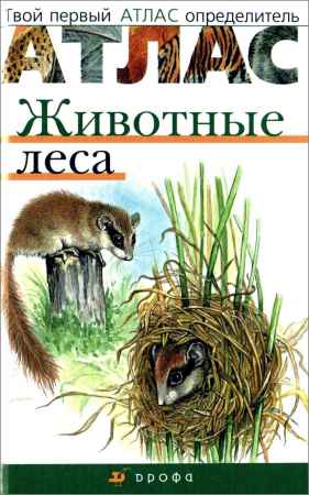Животные леса на Развлекательном портале softline2009.ucoz.ru