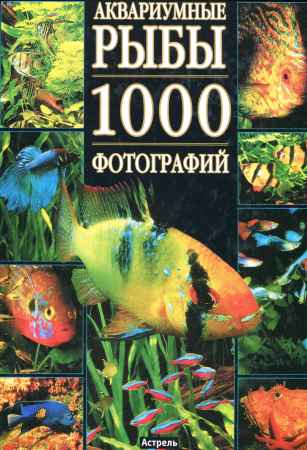 Аквариумные рыбы. 1000 фотографий на Развлекательном портале softline2009.ucoz.ru