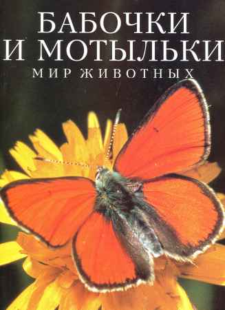 Бабочки и мотыльки на Развлекательном портале softline2009.ucoz.ru