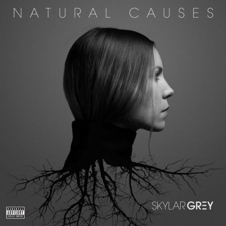 Skylar Grey - Natural Causes (Lossless, 2016) на Развлекательном портале softline2009.ucoz.ru