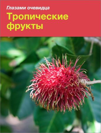 Тропические фрукты на Развлекательном портале softline2009.ucoz.ru