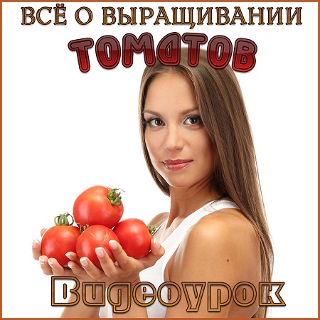 Видеоурок «Всё о выращивании томатов» (2010) DVDRip на Развлекательном портале softline2009.ucoz.ru