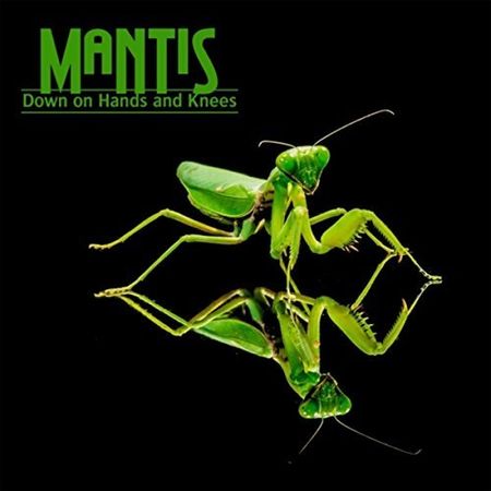 Mantis - Down On Hands And Knees (2017) на Развлекательном портале softline2009.ucoz.ru