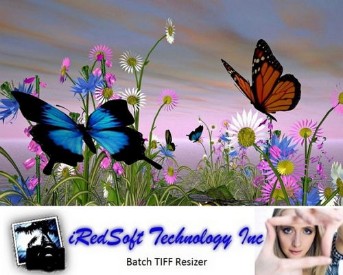 IRedSoft Batch TIFF Resizer 3.05 x86 на Развлекательном портале softline2009.ucoz.ru