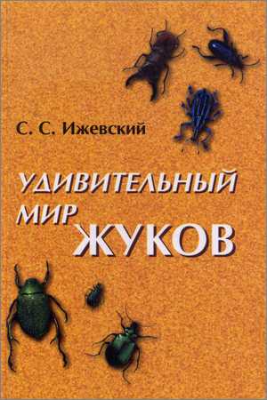 Удивительный мир жуков на Развлекательном портале softline2009.ucoz.ru