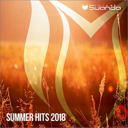 VA - Summer Hits (2018) на Развлекательном портале softline2009.ucoz.ru