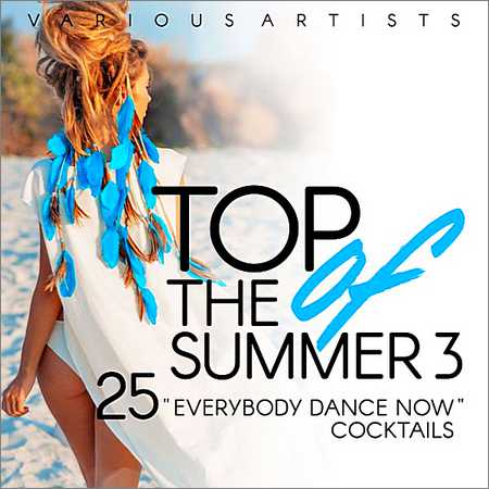 VA - Top Of The Summer (25 Everybody Dance Now Cocktails) Vol.3 (2018) на Развлекательном портале softline2009.ucoz.ru
