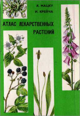 Атлас лекарственных растений на Развлекательном портале softline2009.ucoz.ru