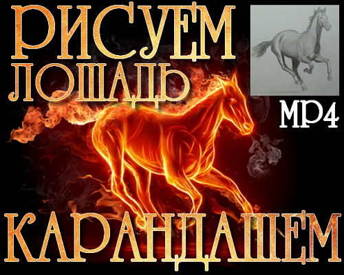 Рисуем лошадь карандашем (2014) на Развлекательном портале softline2009.ucoz.ru