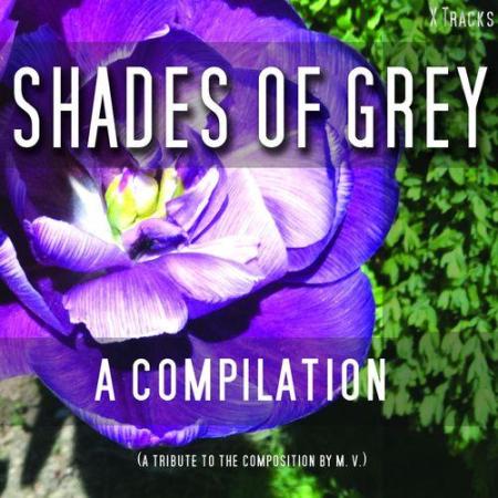 Shades of Grey - A Fifty Track Compilation (2013) на Развлекательном портале softline2009.ucoz.ru