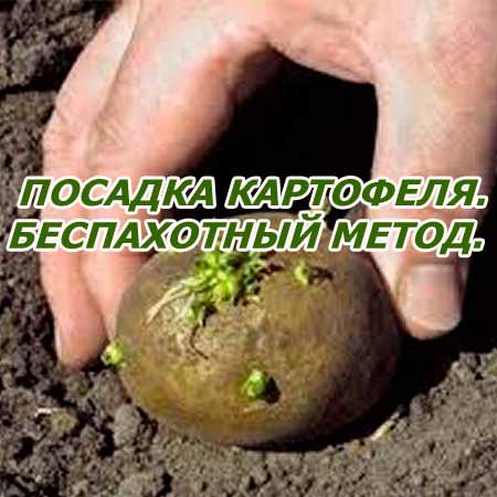 Посадка картофеля. Беcпахотный метод (2015) WebRip на Развлекательном портале softline2009.ucoz.ru