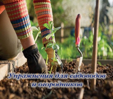 Упражнения для садоводов и огородников (2015) на Развлекательном портале softline2009.ucoz.ru