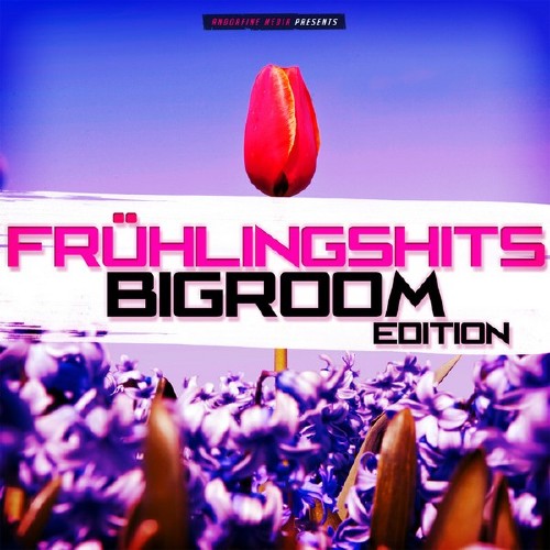 Fruhlingshits: Bigroom Edition (2015) на Развлекательном портале softline2009.ucoz.ru