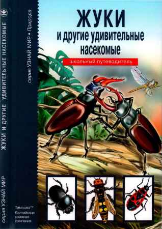 Жуки и другие удивительные насекомые на Развлекательном портале softline2009.ucoz.ru