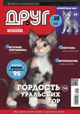 Друг для любителей кошек №10 2015 на Развлекательном портале softline2009.ucoz.ru
