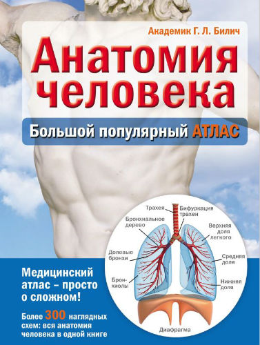 Анатомия человека. Большой популярный атлас (2015) PDF на Развлекательном портале softline2009.ucoz.ru