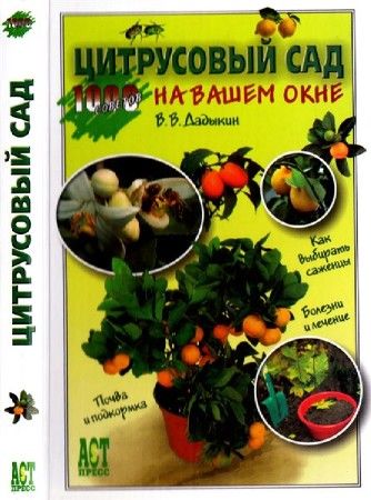 Цитрусовый сад на вашем окне на Развлекательном портале softline2009.ucoz.ru