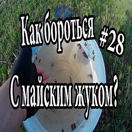 Как избавиться от майского жука (хруща)? (2016) на Развлекательном портале softline2009.ucoz.ru