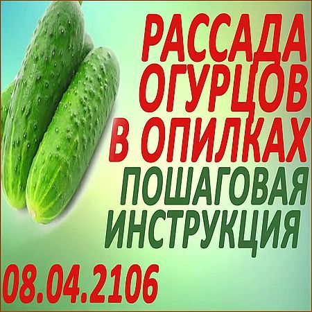  на Развлекательном портале softline2009.ucoz.ru