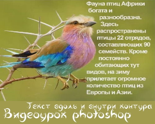 Видеоурок photoshop Текст вдоль и внутри контура на Развлекательном портале softline2009.ucoz.ru