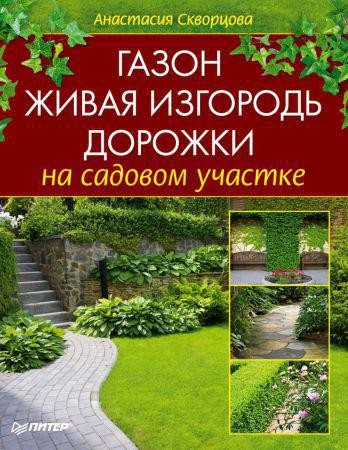 Газон, живая изгородь, дорожки на садовом участке на Развлекательном портале softline2009.ucoz.ru