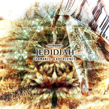 Jedidiah - Shamanic Experience (Lossless, 2016) на Развлекательном портале softline2009.ucoz.ru