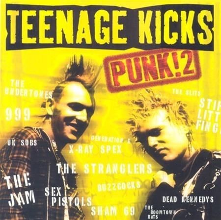 VA - Teenage Kicks Punk! 2 (2001) на Развлекательном портале softline2009.ucoz.ru