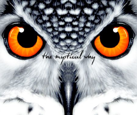 The Mystical Why - Owl (2016) на Развлекательном портале softline2009.ucoz.ru