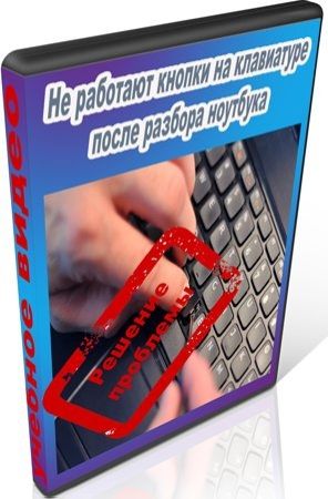 Не работают кнопки на клавиатуре после разбора ноутбука (2016) на Развлекательном портале softline2009.ucoz.ru