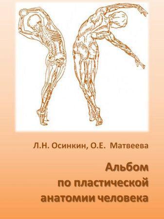 Альбом по пластической анатомии человека на Развлекательном портале softline2009.ucoz.ru