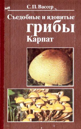 Съедобные и ядовитые грибы Карпат. Справочник на Развлекательном портале softline2009.ucoz.ru