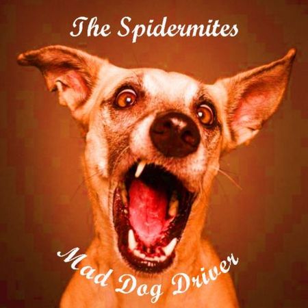 The Spidermites - Mad Dog Driver (2017) на Развлекательном портале softline2009.ucoz.ru