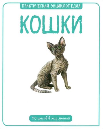 Практическая энциклопедия. Кошки на Развлекательном портале softline2009.ucoz.ru