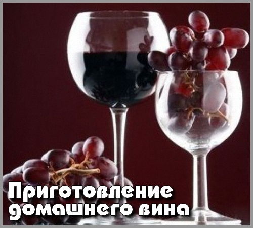 Видеокурс Приготовление домашнего вина на Развлекательном портале softline2009.ucoz.ru