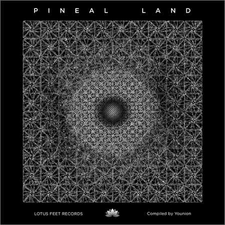 VA - Pineal Land (2018) на Развлекательном портале softline2009.ucoz.ru