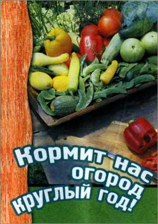 Кормит нас огород круглый год на Развлекательном портале softline2009.ucoz.ru