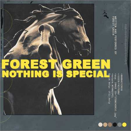 Forest Green - Nothing Is Special (2018) на Развлекательном портале softline2009.ucoz.ru