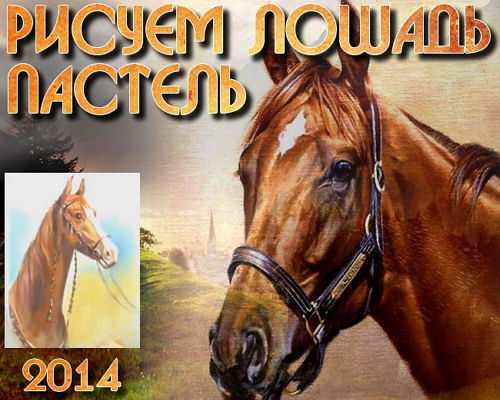 Рисуем лошадь в технике Пастель (2014) на Развлекательном портале softline2009.ucoz.ru