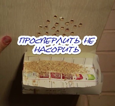 Просверлить не насорить (2015) на Развлекательном портале softline2009.ucoz.ru