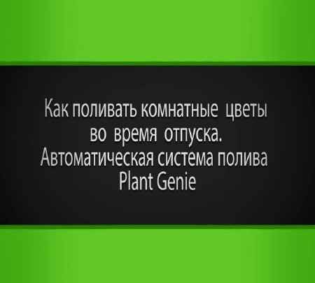 Как поливать комнатные цветы во время отпуска (2015) на Развлекательном портале softline2009.ucoz.ru